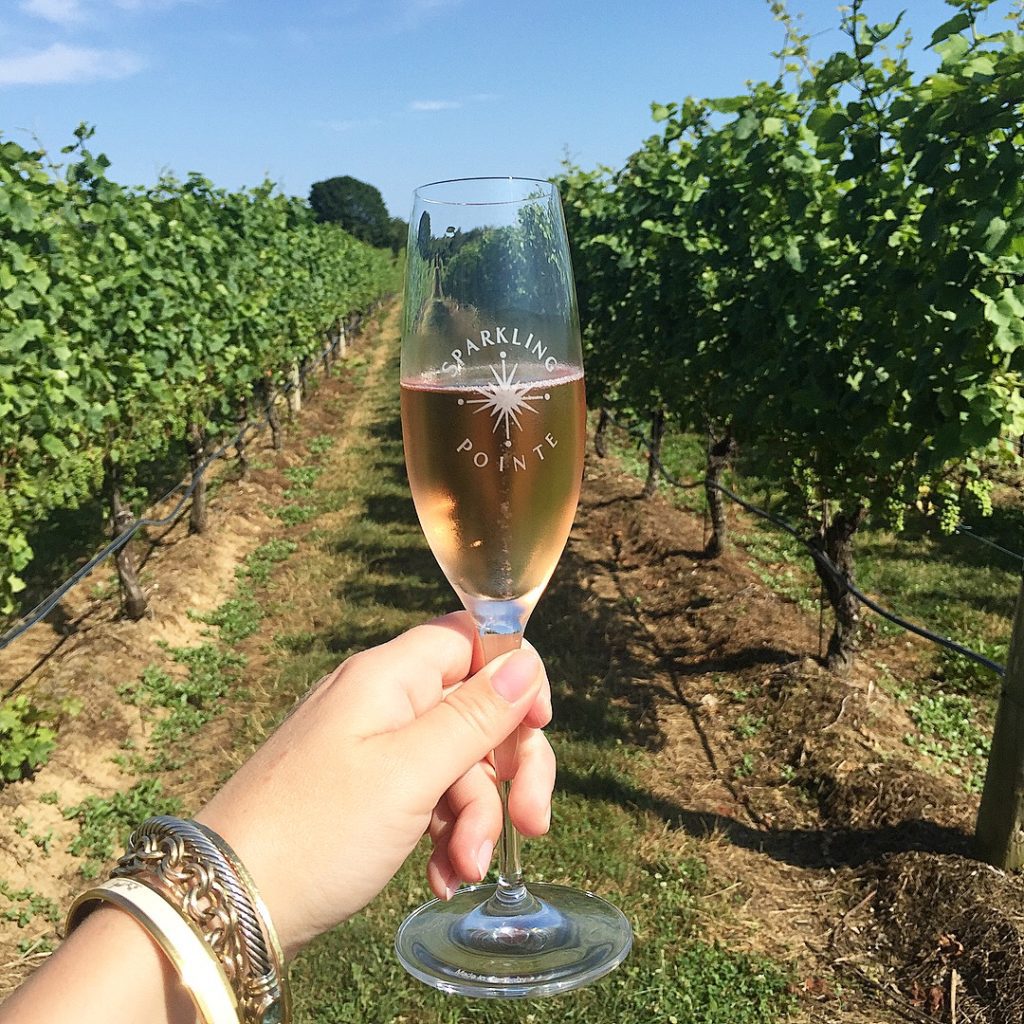 A person holding up a glass of wine in front of some vines.